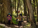 Travessia 4 Refúgios Bariloche